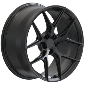 DR-SP-B2S-01